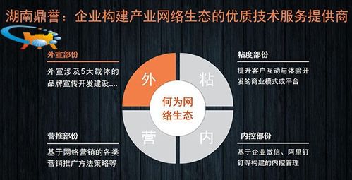 二十年網絡營銷實戰專家談 國內企業網絡營銷推廣的“道、法、術”
