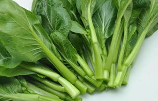 請問這是什么蔬菜