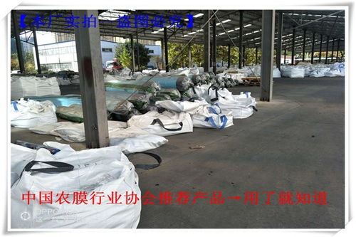 吉隆蘑菇大棚薄膜農(nóng)業(yè)福音 聊城華塑大棚膜廠