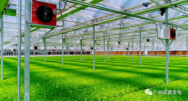 科技興農(nóng)①丨綠沃川:發(fā)展現(xiàn)代智慧農(nóng)業(yè) 帶動農(nóng)民就業(yè)增收